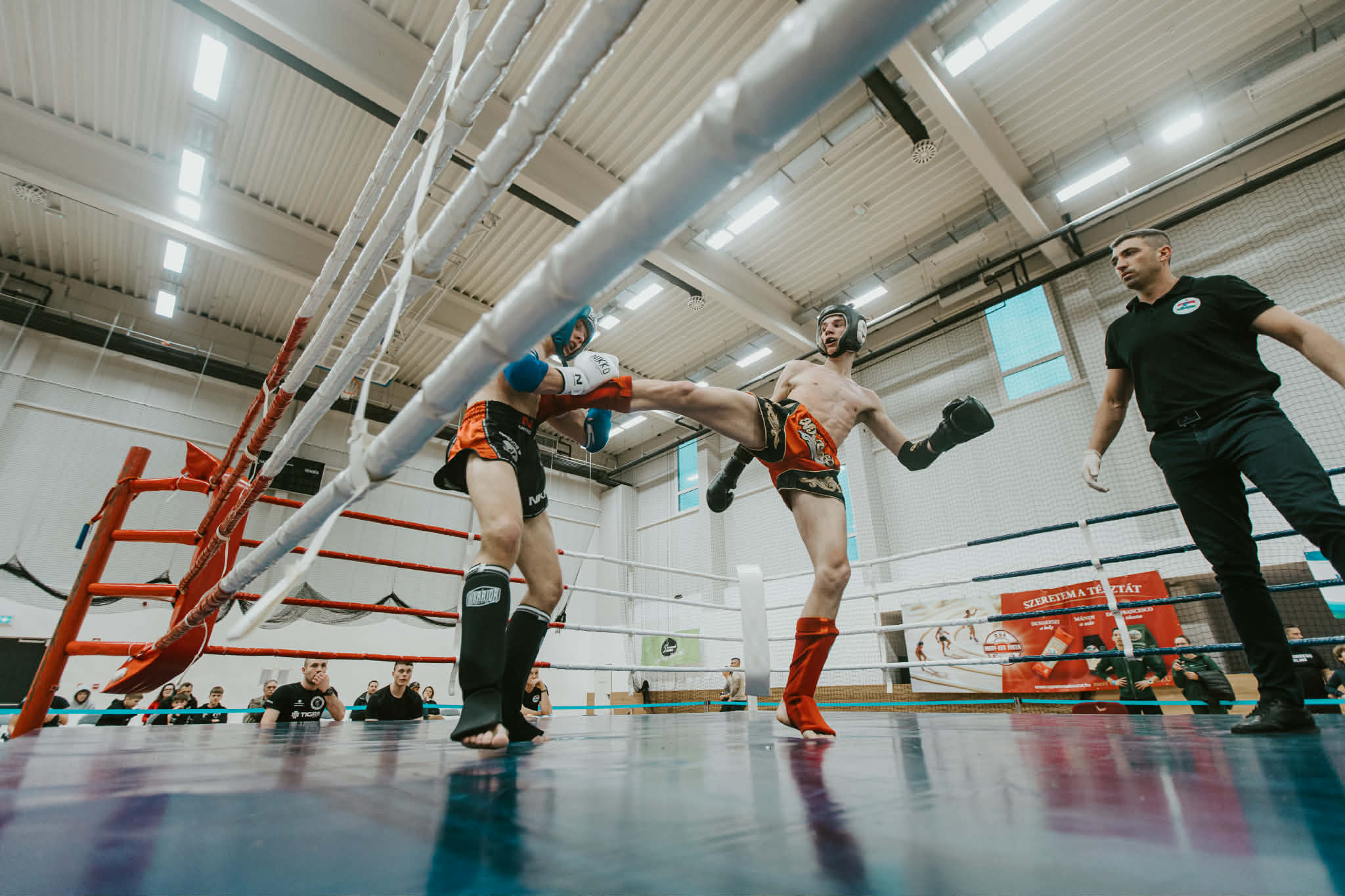 Bajnokokat avattak a muaythai-osoknál