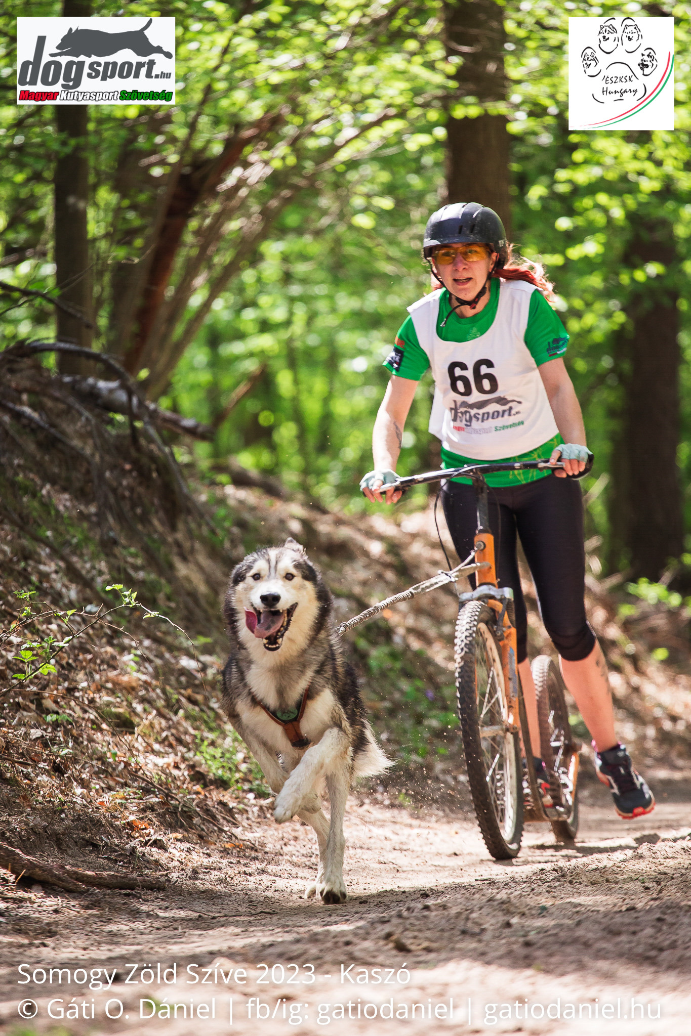 Lezajlott a tavaszi szezon utolsó versenye a mushing - húzó kutyás sportok szakágban